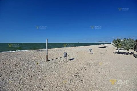 Дорожник голубицкая отдых