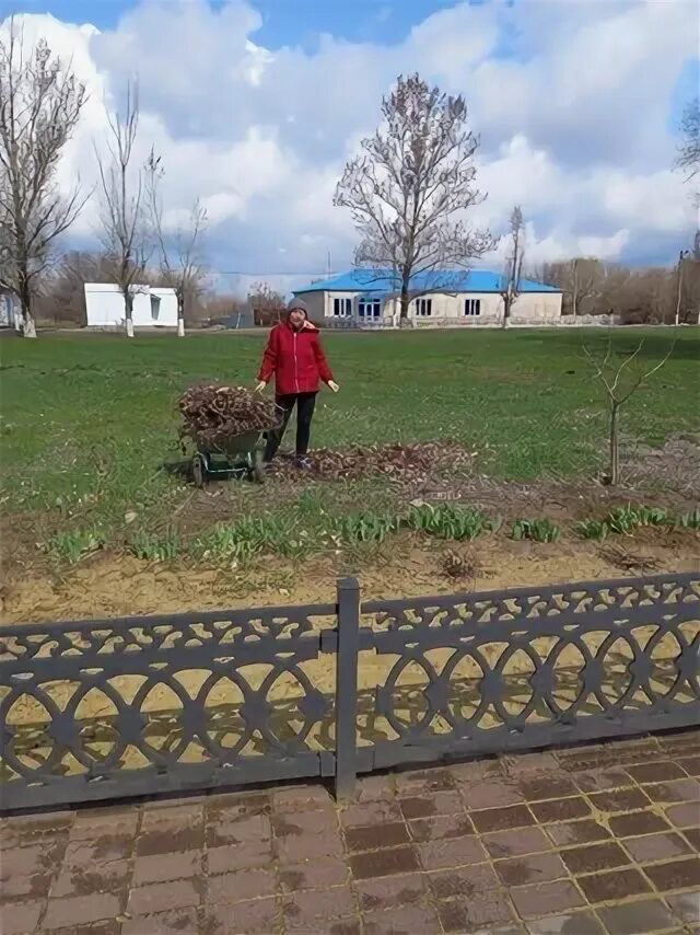 Погода в семено камышенской семено камышенская ростовская. Погода в семено камышенской семено камышенская ростовская. Семено красилово. Семено красилово алтайский край. Слобода семено-камышенская, ул.