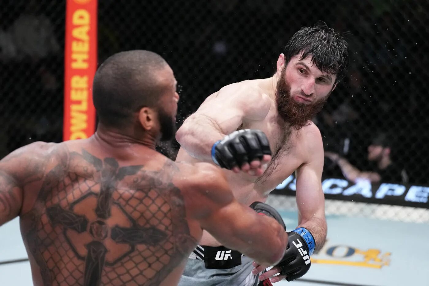 Повтор боя анкалаев. Анкалаев сантос. магомед анкалаев ufc. магомед анкалаев тиаго сантос победил.