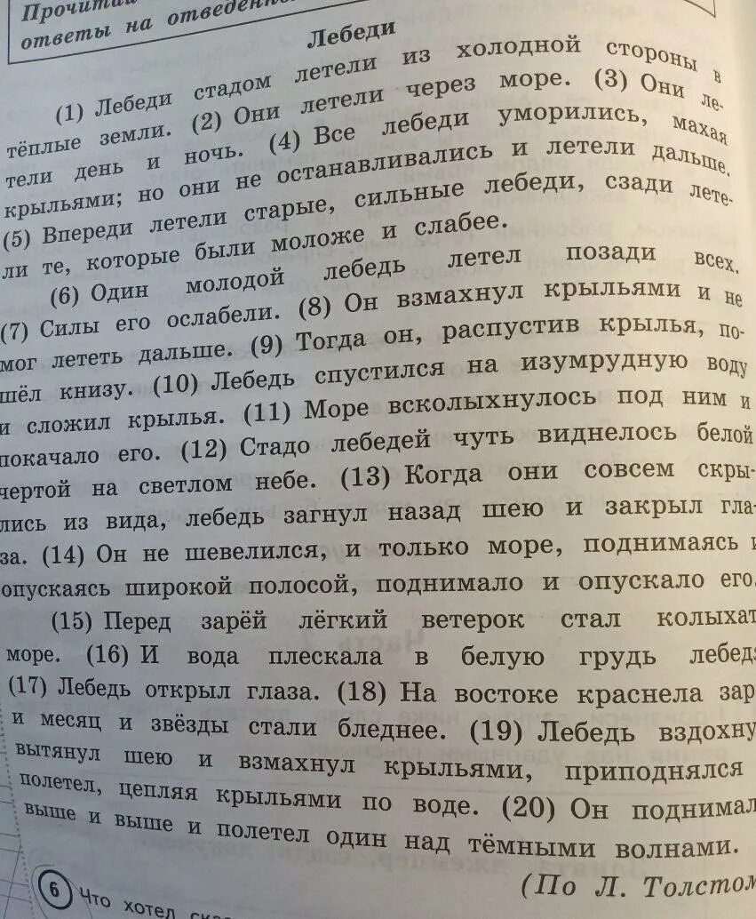 Замени слово стадо близким по значению словом. Составь и запиши план текста. Ответ в тексте и запиши. Лебеди стадом летели из холодной. Составьте и запишите план текста из 3 пунктов.