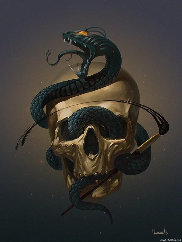 Череп со змеей. Аватар череп. Змеи арт. Крутая змея. Аватарка змей