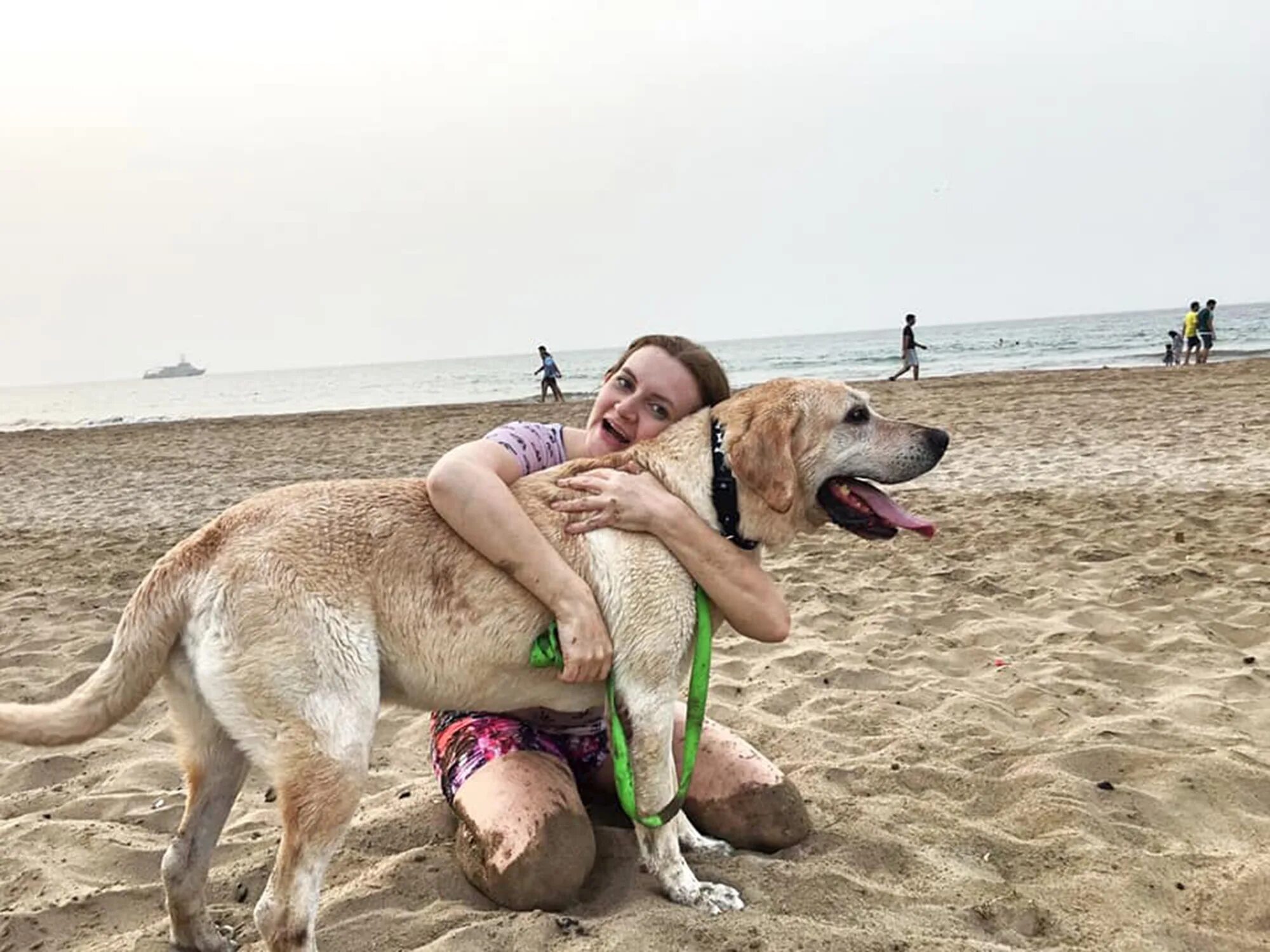 Дженни симпсон зоофото. Джо джонас и софи тернер второй ребенок. Laura muir. Jenny simpson dog. Jenny simpson dog.
