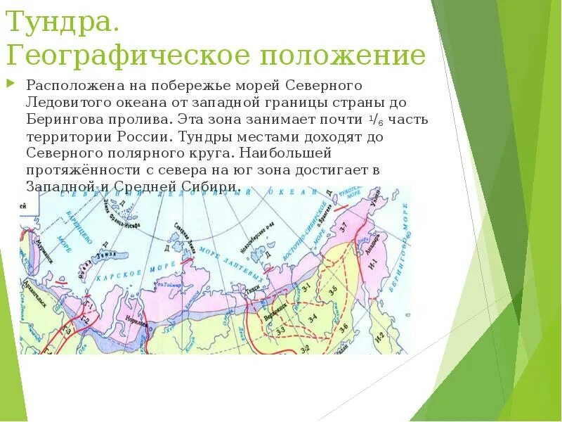 Природная зона южнее лесотундры. Географическое положение тундры в России карта. Географическое положение тундры в России. Географическое расположение тундры на карте. Географическое положение тундры.