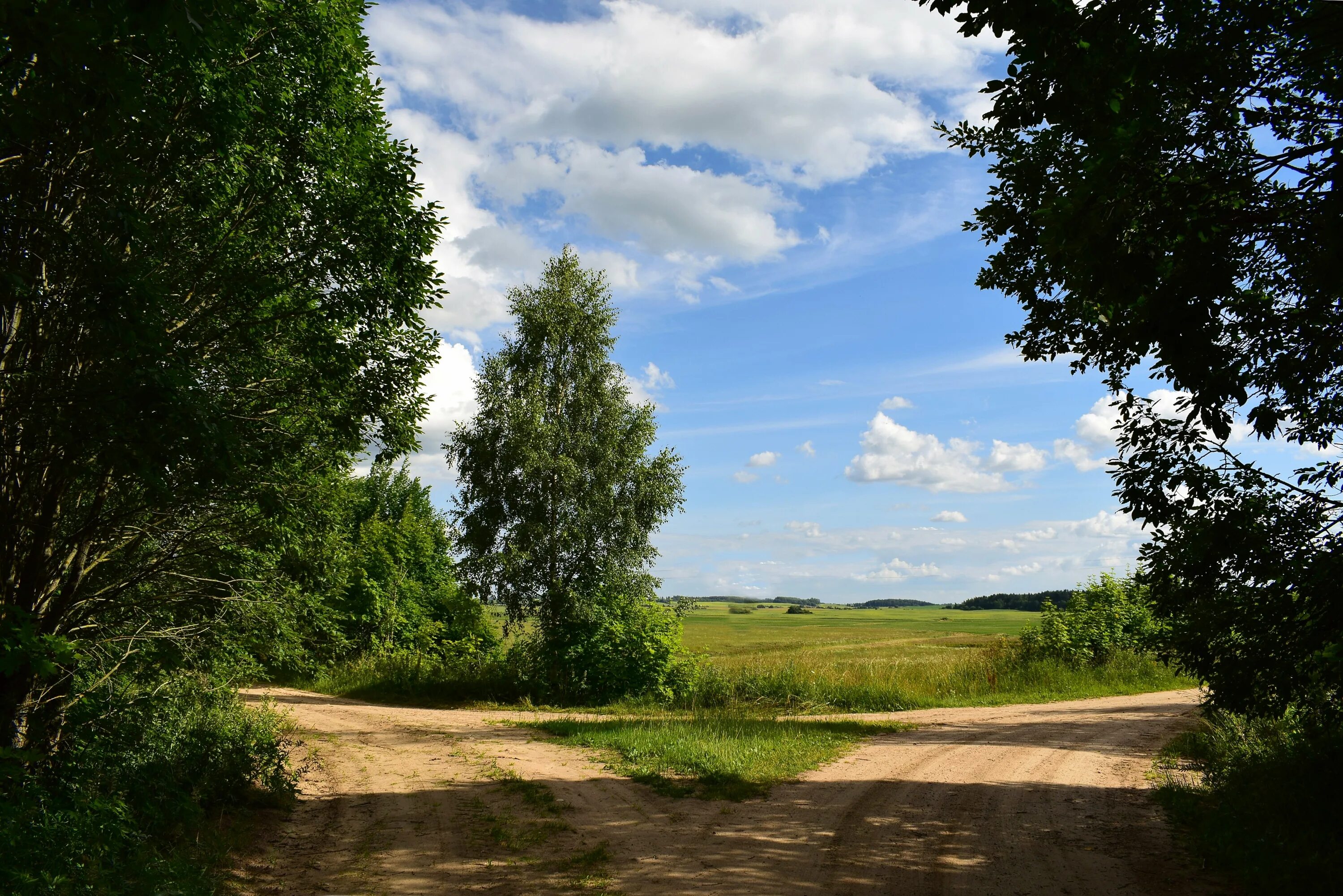 Дорога в Истру фото лето. Ашкуде фото. Куда фото. Foto куды.