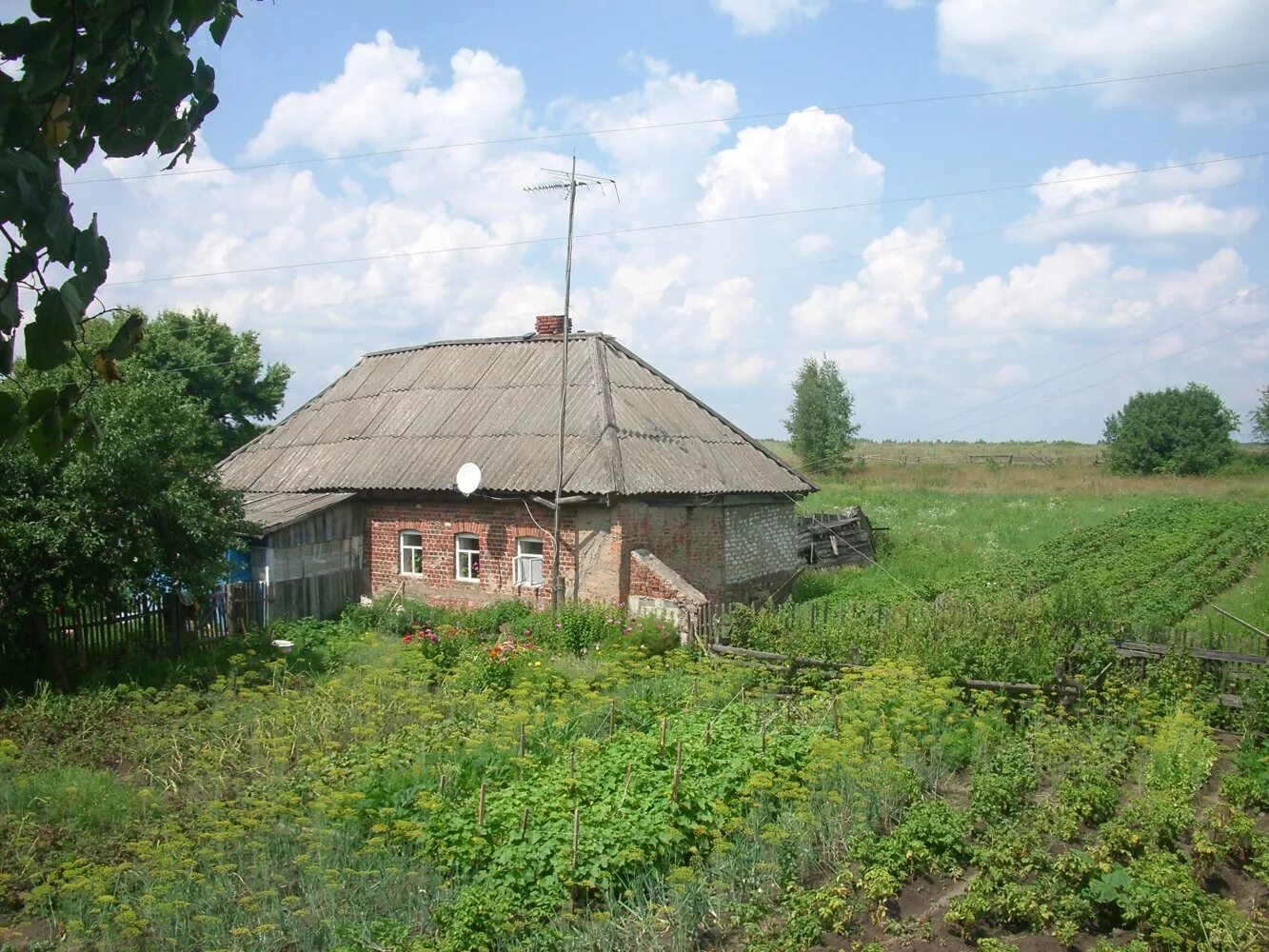 церковь в большой куликовке орел. куликовка кантемировского района воронежской области. липецкая область лебедянский район куликовка. село лебедянь липецкой области. куликовка вторая лебедянский район фото.