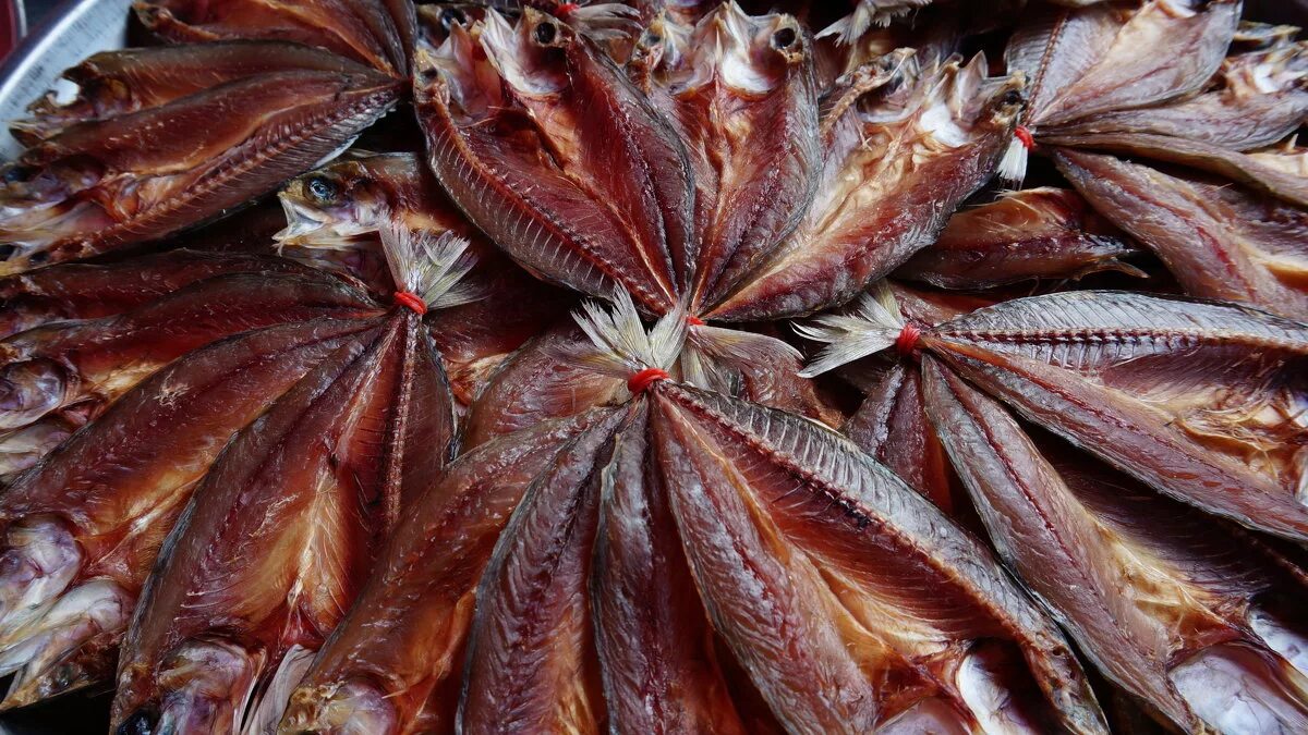 сайда горячего копчения. сушеная копченая. корюшка малоротая вяленая. сушеная копченая. лещ пласт холодного копчения.