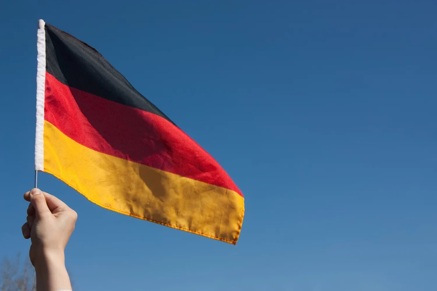 Германия для казахстанцев. Человек с флагом Германии. Германия государство. Немецкий флаг. Флаг Германии картинки.
