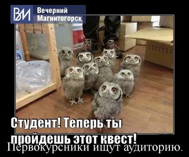 Теперь студент
