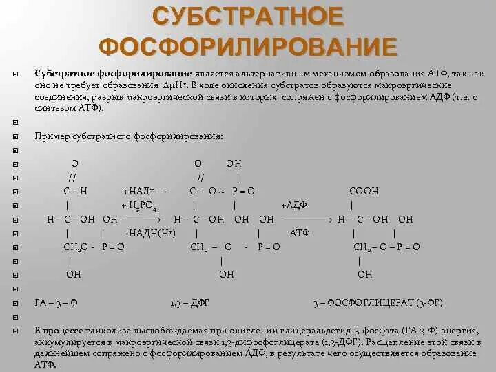 Представление о процессах окислительного фосфорилирования. Реакции фосфорилирования глюкозы в печени. Субстратное фосфорилирование биохимия реакция. Основные пути фосфорилирования адф и использования атф. Примеры реакций субстратного фосфорилирования.