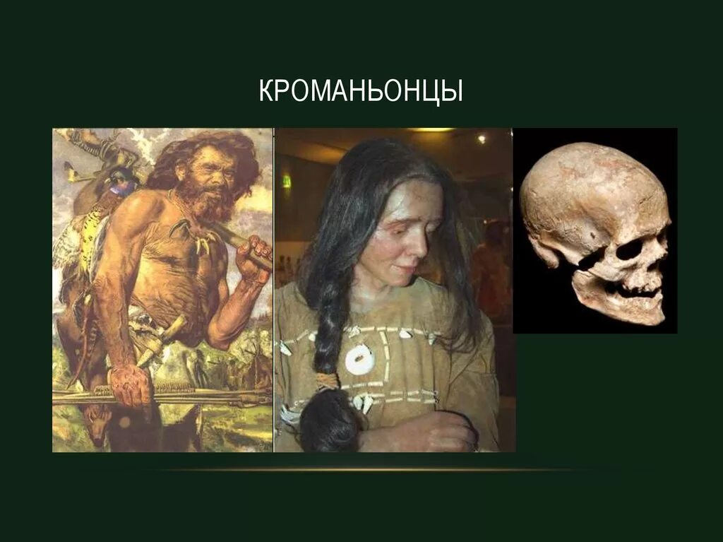 Неоантроп кроманьонец. Кроманьонец прямохождение. Кроманьонец расология. Неоантроп (кроманьонец, человек разумный) череп.