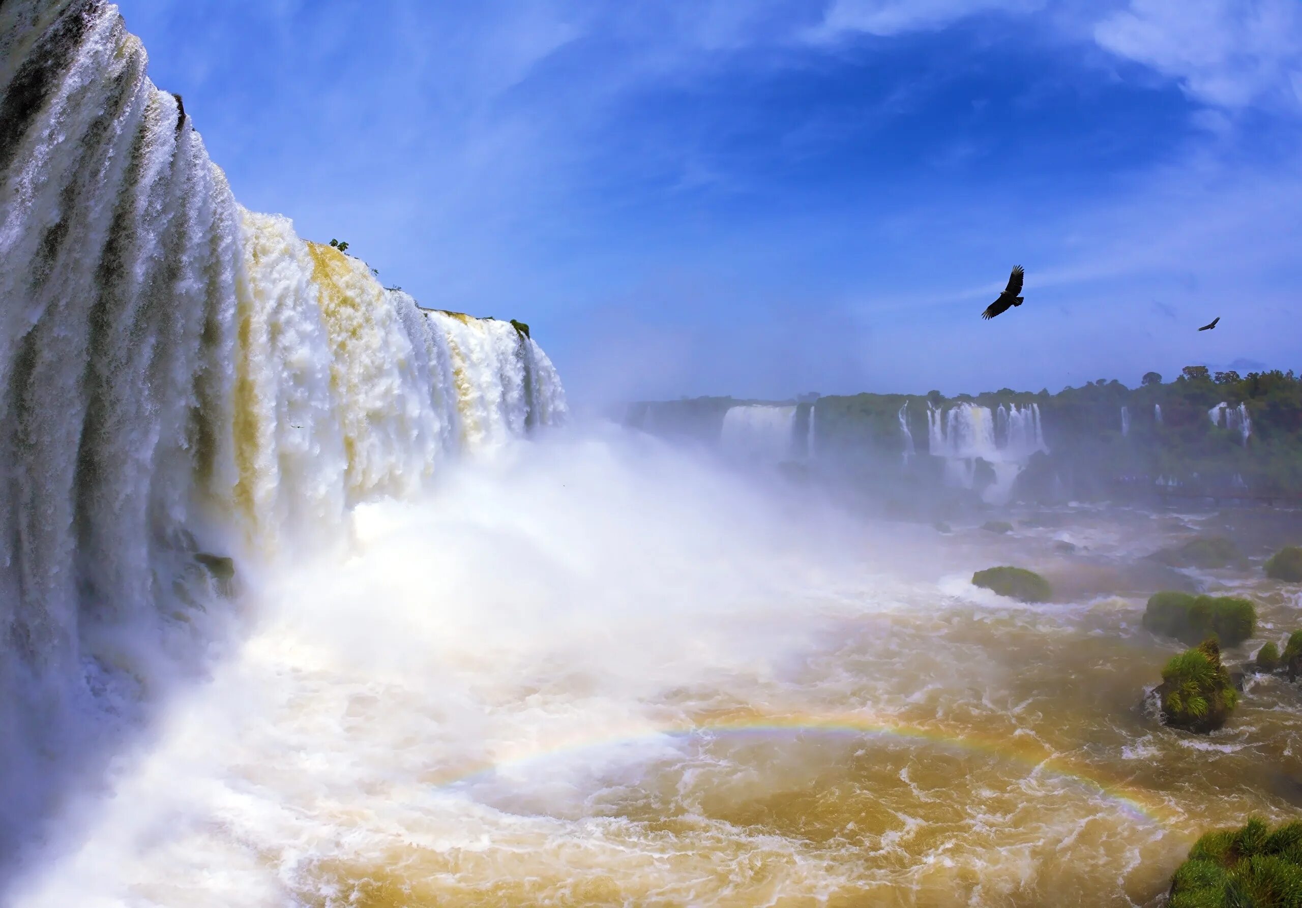 Водопад Игуасу Радуга. Птица над водопадом. Туман над водопадом. Обои на рабочий стол водопад. Песня водопад небес