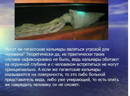 Гиганты сообщение