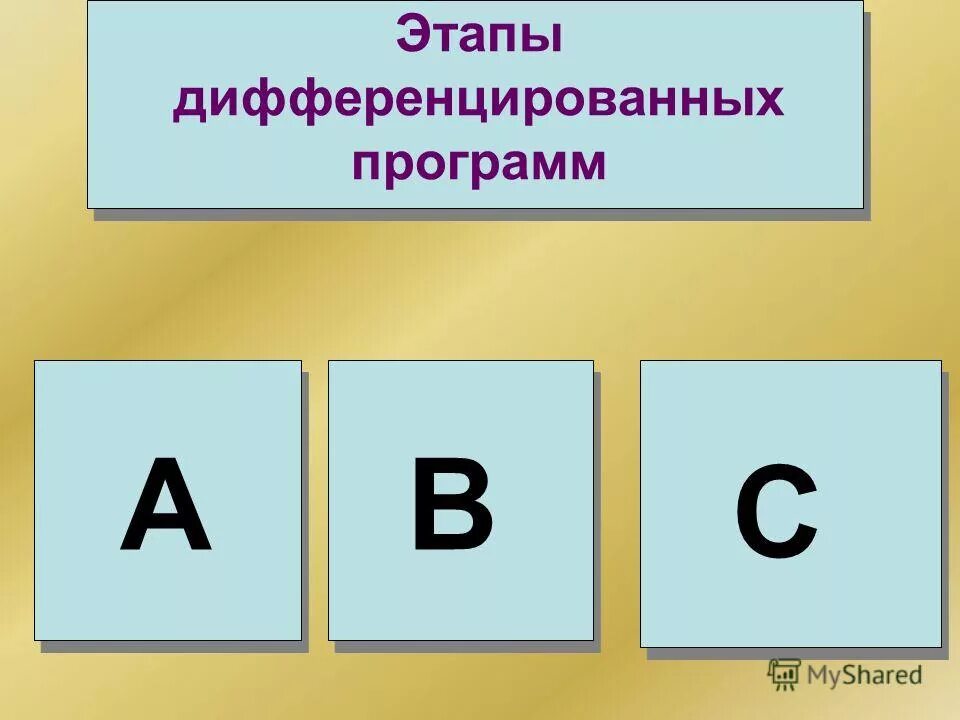 Принципы к формированию программы. Принципы формирования инвестиционных программ. Классификация дифференциальных обучения. Процесс индивидуализации. Принципы разработки инвестиционной программы.