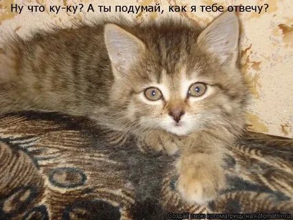 Ну и что ты ответила