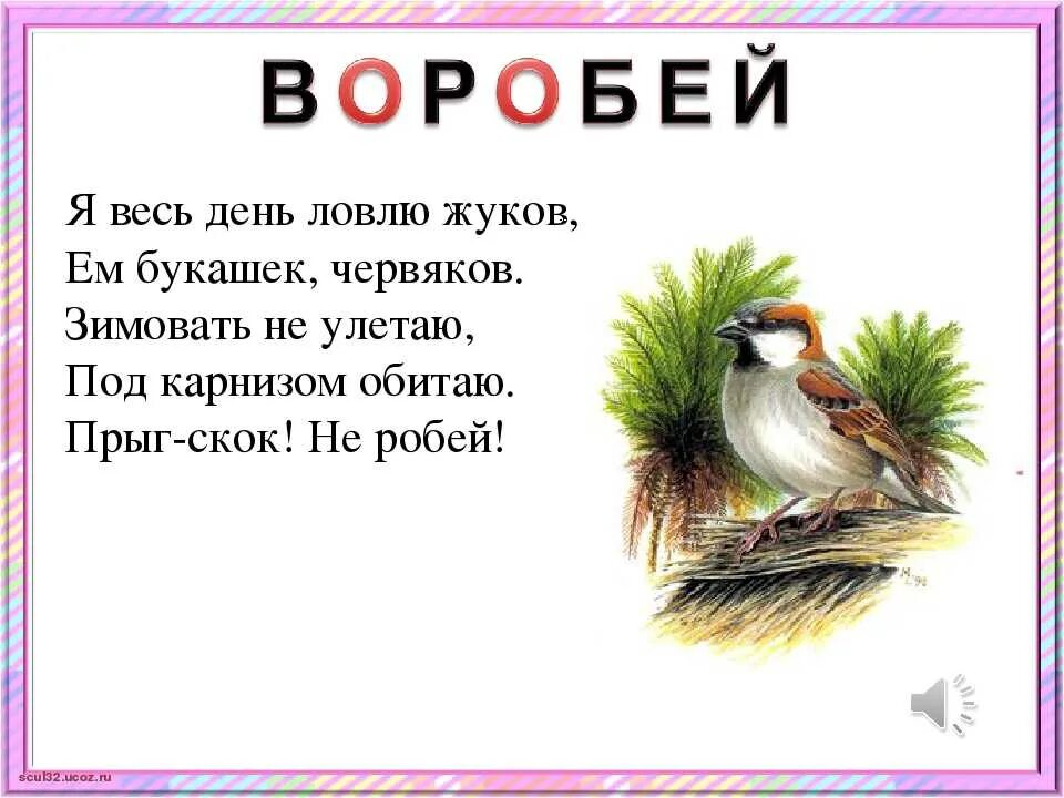 Стих про воробья для детей