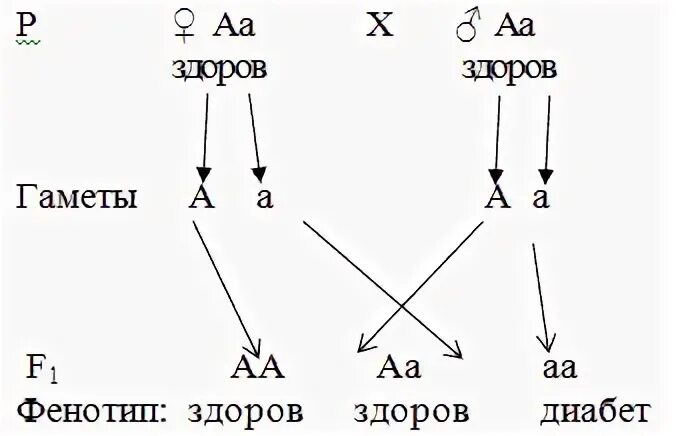 Генотип ааввсс образует