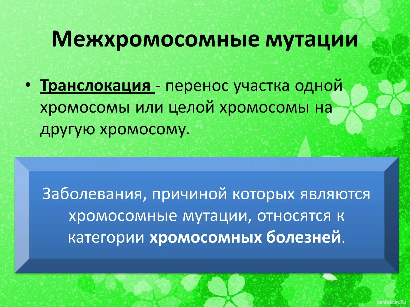 Поворот хромосомы на 180 градусов тип мутации. Межхромосомные мутации. реципрокные межхромосомные мутации. межхромосомные мутации транслокации. межхромосомные мутации примеры.