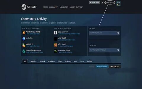 Steam names
