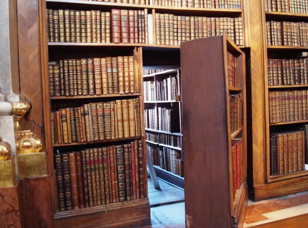 Библиотека открыла двери. Библиотека открыла двери. Библиотека открыла двери. Библиотека фон. День открытых дверей иллюстрация.