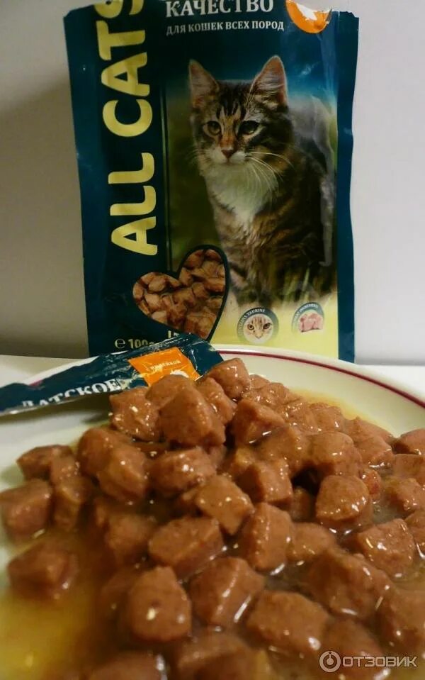 Алл Катс влажный корм. All Cats корм для кошек. All Cats корм для кошек влажный. Кошачий корм UNOCAT. Влажный корм для кошек jarvi