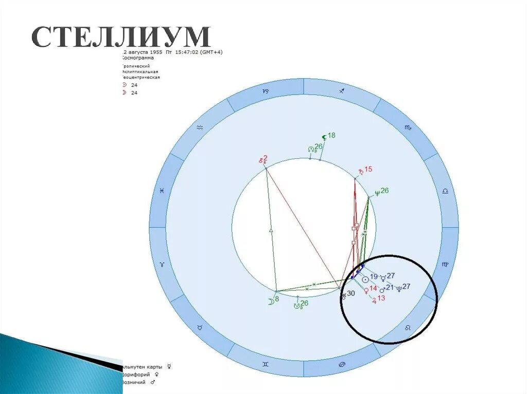 Стеллиум в тельце