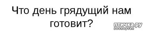Что день грядущий мне сулит