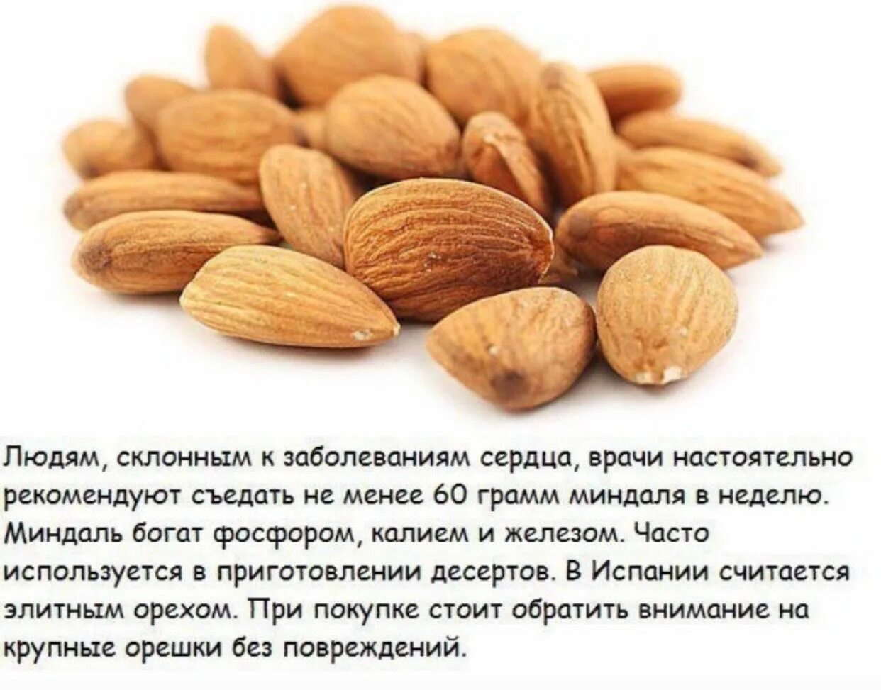 Орехи польза и противопоказания. Косточка абрикоса это миндаль. ядра косточек абрикоса. полезные орехи. самые полезные орехи.