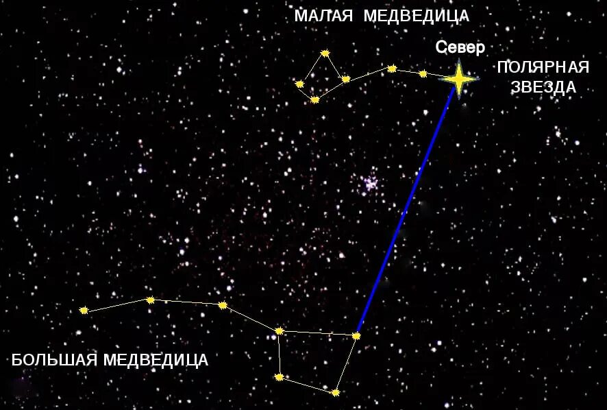 Небольшие созвездия. Большая и малая Медведица Созвездие Полярная звезда. Полярная звезда в малой Медведице. Полярная звезда в созвездии малой медведицы. Как найти Созвездие малой медведицы.