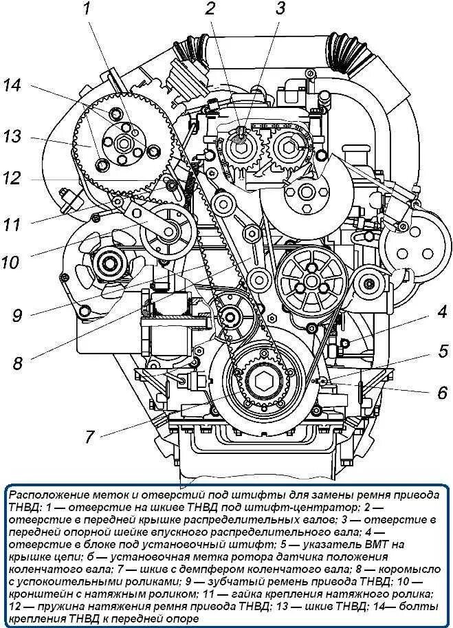 Ремень привода ТНВД ЗМЗ-514. Ремни привода УАЗ Патриот 409 схема. Ремень ГРМ ЗМЗ 514 дизель. Ремень ГРМ ЗМЗ 409.