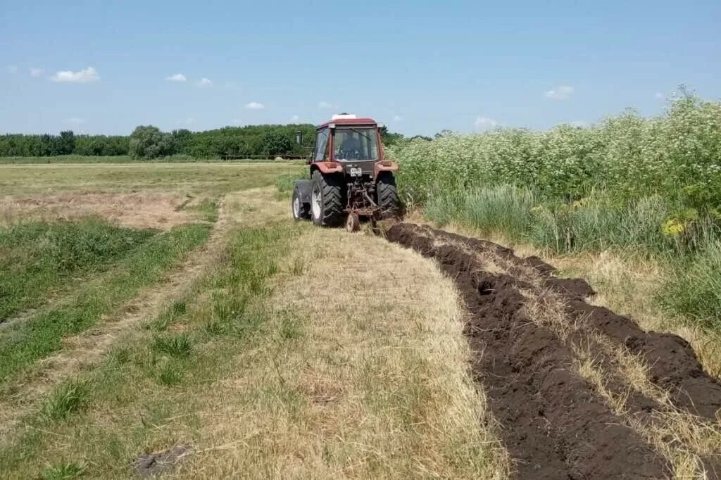 Хутор сладкий Лиман. Хутор сладкий Лиман Краснодарский край. Сладкий Лиман Каневской район. Хутор сладкий Лиман Каневской район Краснодарский край. Сладкий лиман каневского района