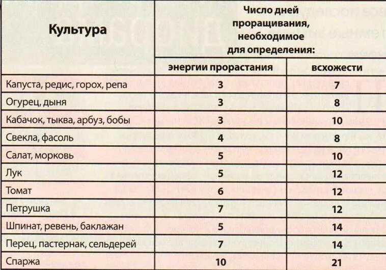 На какой день появляются огурцы. Сроки прорастания огурцов. Сроки всхожести семян огурцов на рассаду. Сроки всхода семян томатов на рассаду. Срок прорастания семян огурцов.