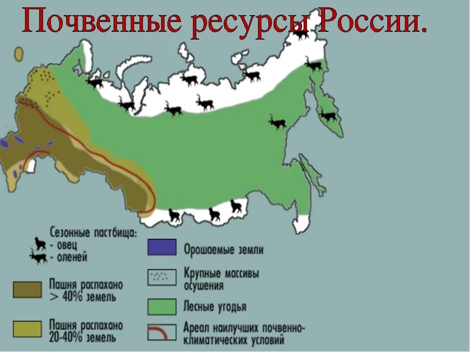 Почвенные ресурсы России 8 класс. Почвы и почвенные ресурсы. Почвенные ресурсы России карта. Почвенные ресурсы России 8 класс география. Территория оленеводства