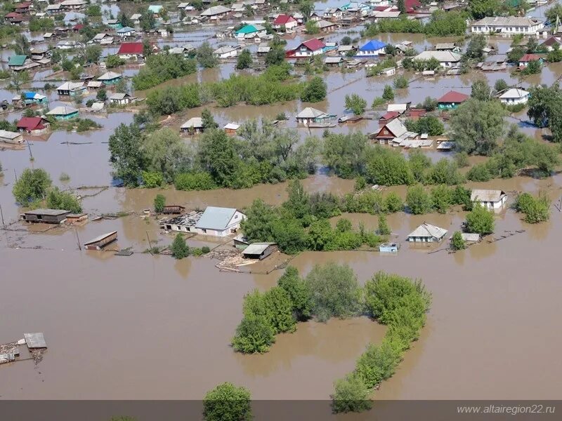 Уровень воды в реке катунь на сегодня. Село Шульгинка Алтайский край. Озеро Шульгинка Алтайский. Наводнение в Алтайском крае 2014. Наводнение в Алтайском крае 2014 Шульгинка.