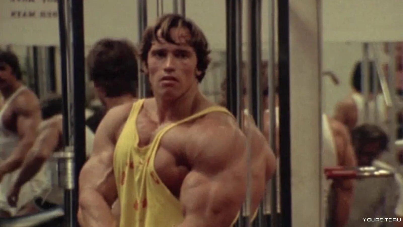 Шварценеггер семь правил жизни. Арнольд шварценеггер 1977. арнольд шварценеггер 1983. арнольд шварценеггер 1976. арнольд шварценеггер бодибилдер.