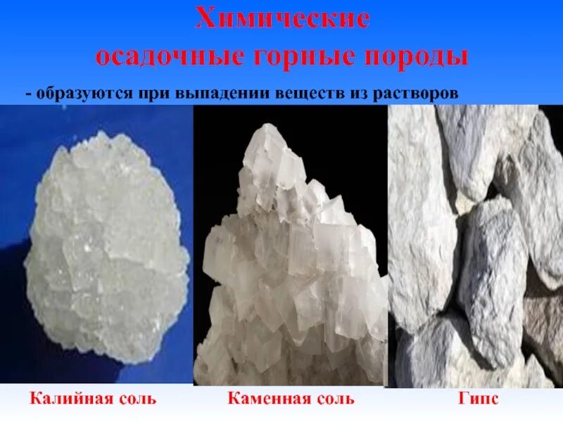 Какие осадочные породы относятся к химическим. Калийная соль осадочная Горная. Каменная соль осадочная порода. Осалочная Горная погода каменый соль. Каменная соль Горная порода.