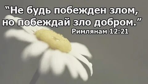 Мир победившего зла