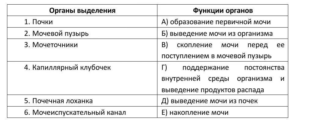 Органы выделения тест 8 класс. Органы выделения и их функции. Функции органов выделения. Соотнесите органы выделения с их функциями.