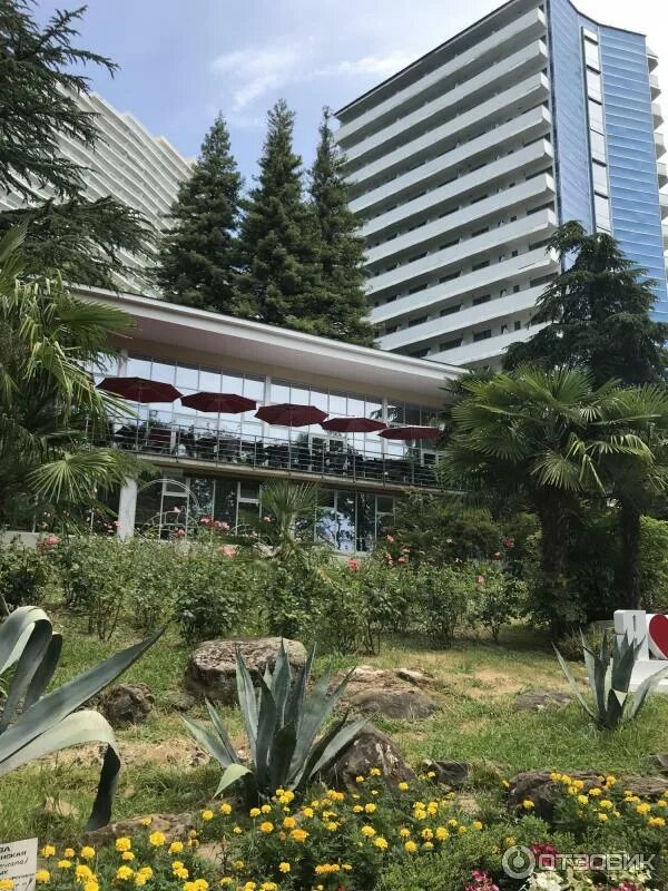 Санаторий актёр сочи официальный сайт. Актер 3 санаторий сочи. Санаторий актер сочи. Балкон санатория актёр сочи. Санаторий актер.