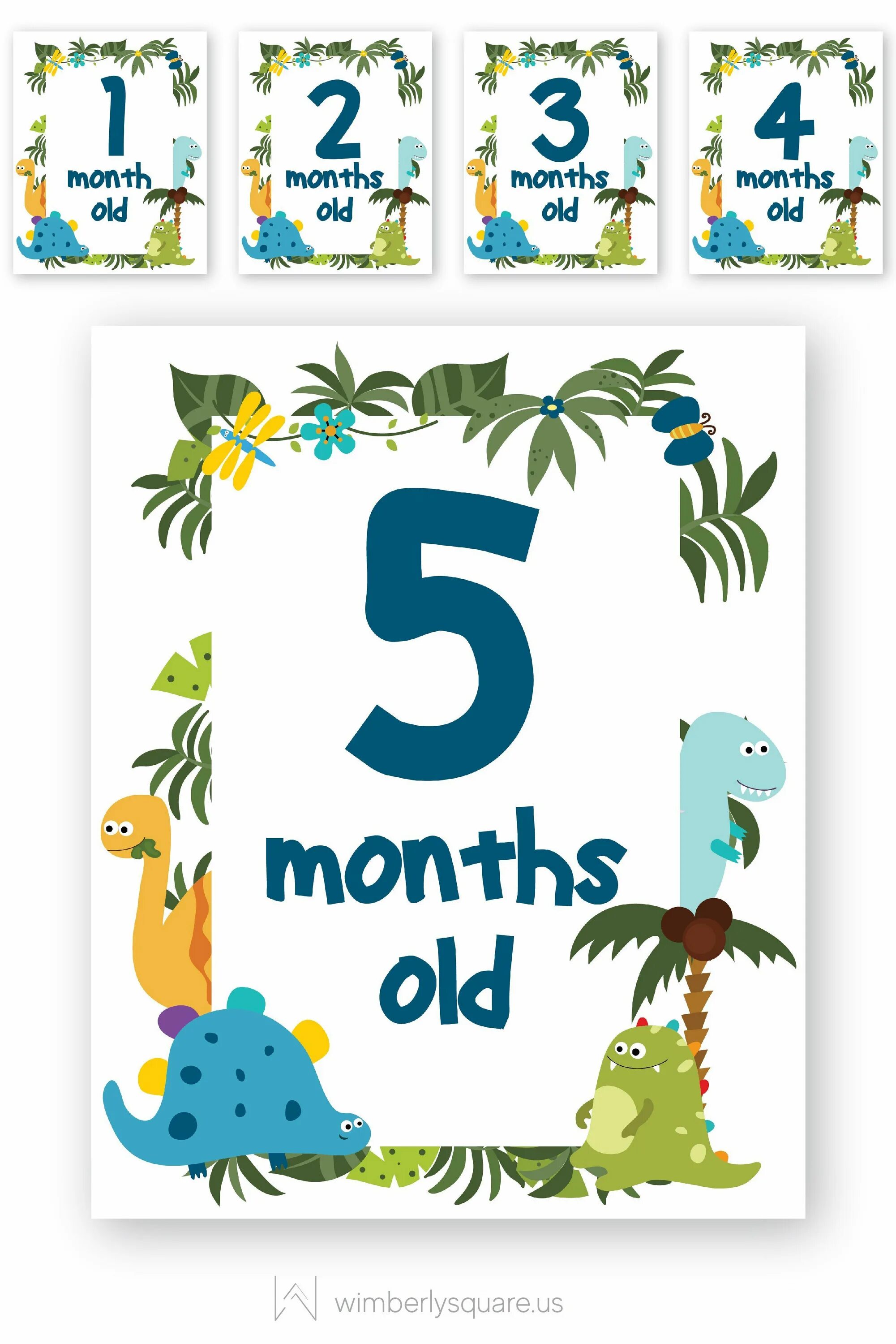 5 months. 5 months картинки. 6 months baby открытки. happy 5 months. baby month card.
