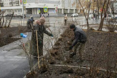 В сквере возле дома было так тихо