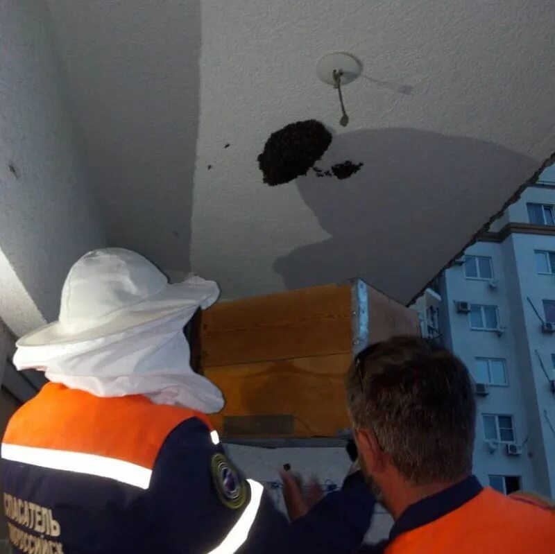 Как избавиться от спасателя
