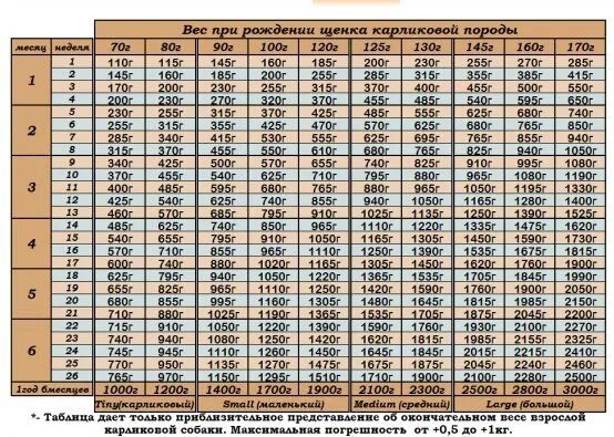 Щенку 5 недель. Таблица веса йоркширского терьера стандарт. Вес Йорка по месяцам таблица стандарт. Вес померанского шпица по месяцам таблица. Таблица веса чихуахуа по месяцам мини.