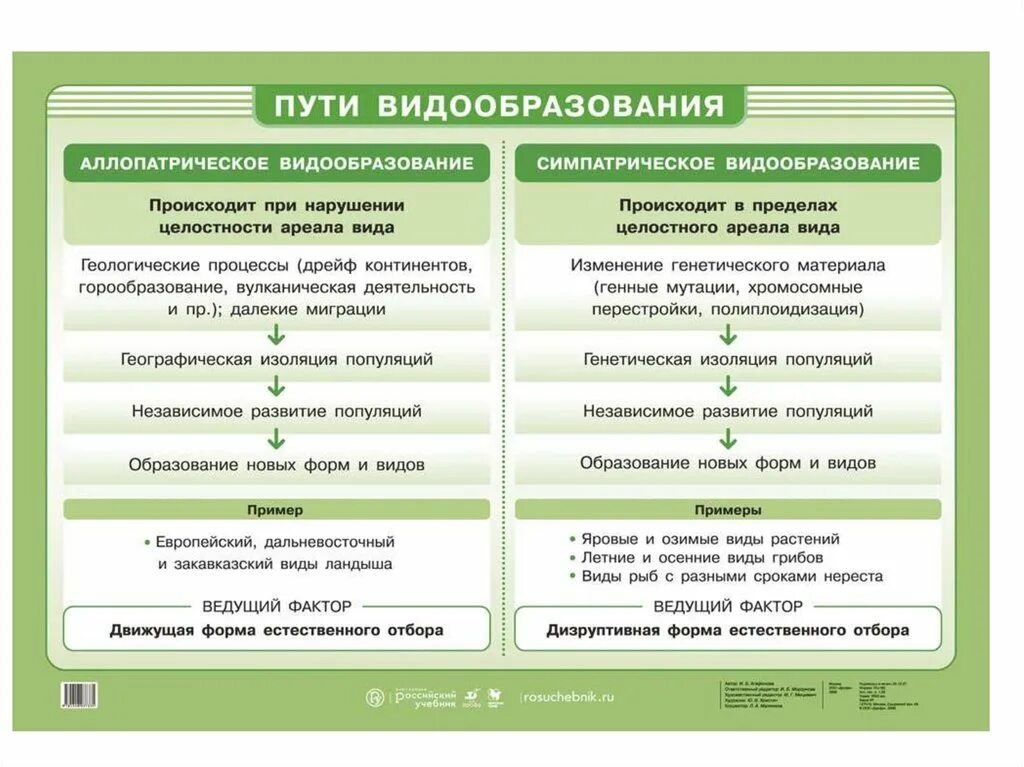 Какая форма видообразования более длительная. Пути и способы видообразования таблица. способы видообразования таблица 11 класс. формы видообразования биология 11 класс. схема аллопатрического и симпатрического видообразования.