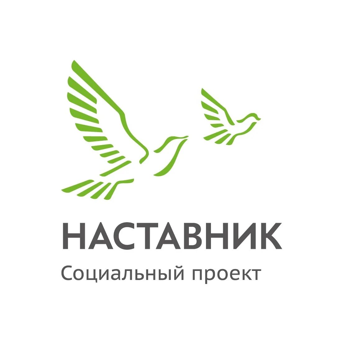 Вк наставник. Наставник логотип. Наставничество птицы. Эко наставник логотип. Логотип наставника 2023.