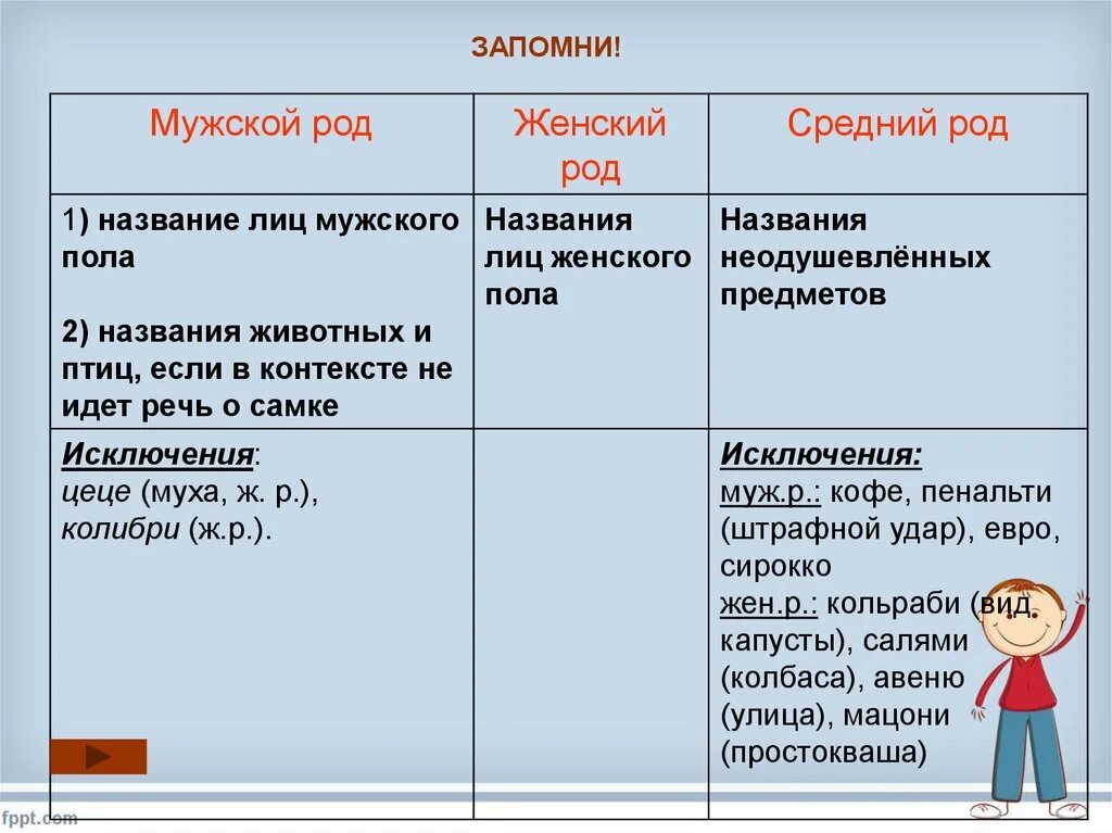 Правильно ли. Адвокат женский род. Владелец женский род.