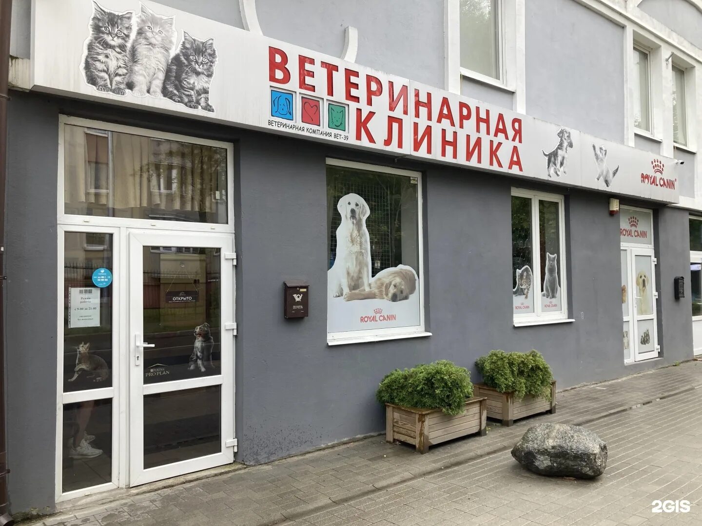 Ветклиника на колхозной калининград. 14 улица колхозная. Вет 39. Озерная 45 калининград. Вет 39.