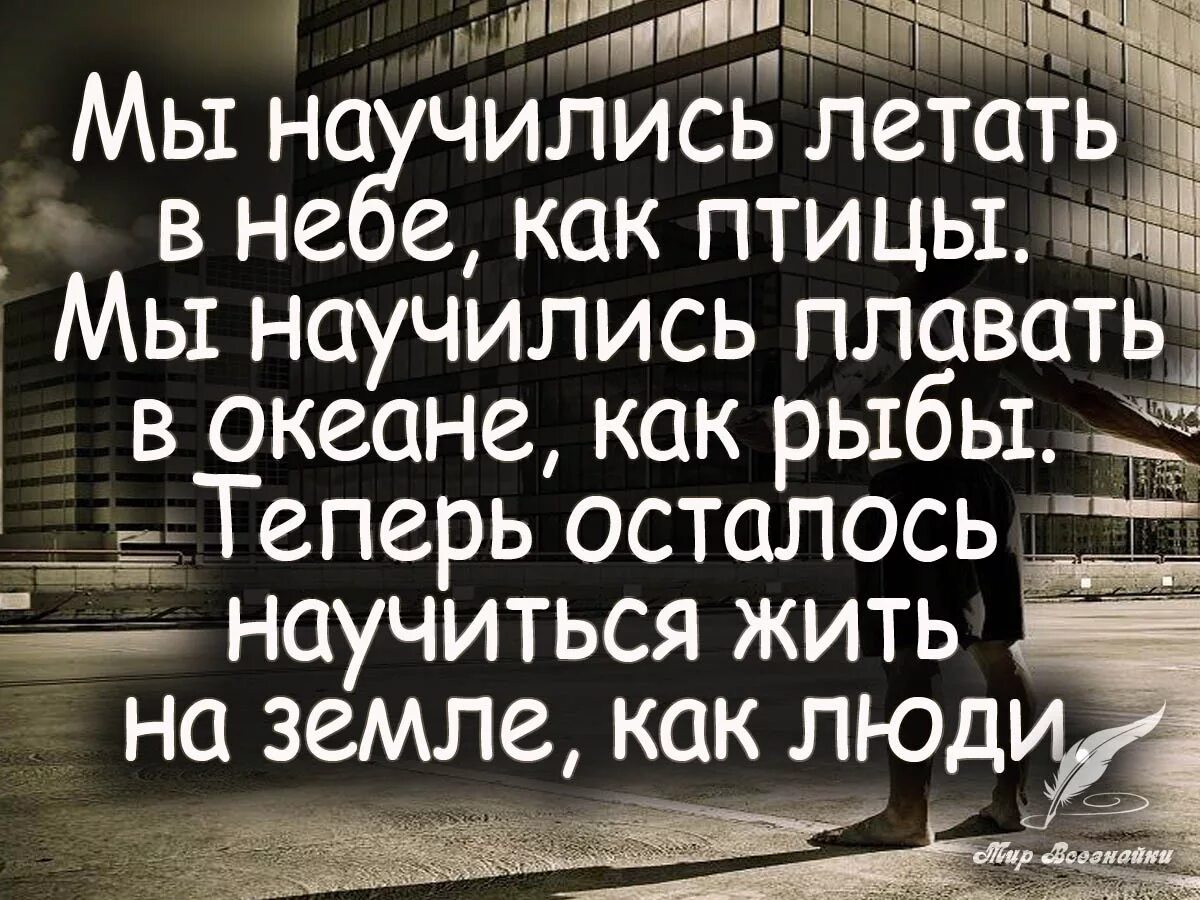 Научил цитаты. Цитаты про ошибки. Каждый человек ошибается. Каждый человек учитель. Цитаты про людей которые учат жить.