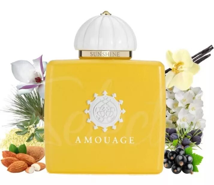 Amouage Sunshine,100ml. Саншайн духи Амуаж. Духи Амуаж Оман. Амуаж Саншайн женский 2023. Sunshine woman