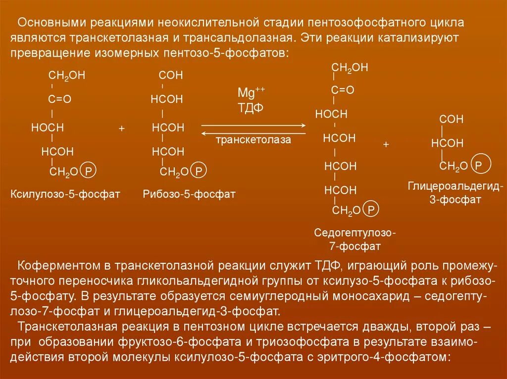 Реакции неокислительной стадии пентозофосфатного цикла.. Транскетолазная реакция пентозофосфатного цикла. Неокислительная фаза пентозофосфатного цикла. Окислительная стадия пентозофосфатного цикла. Аэробное окисление веществ