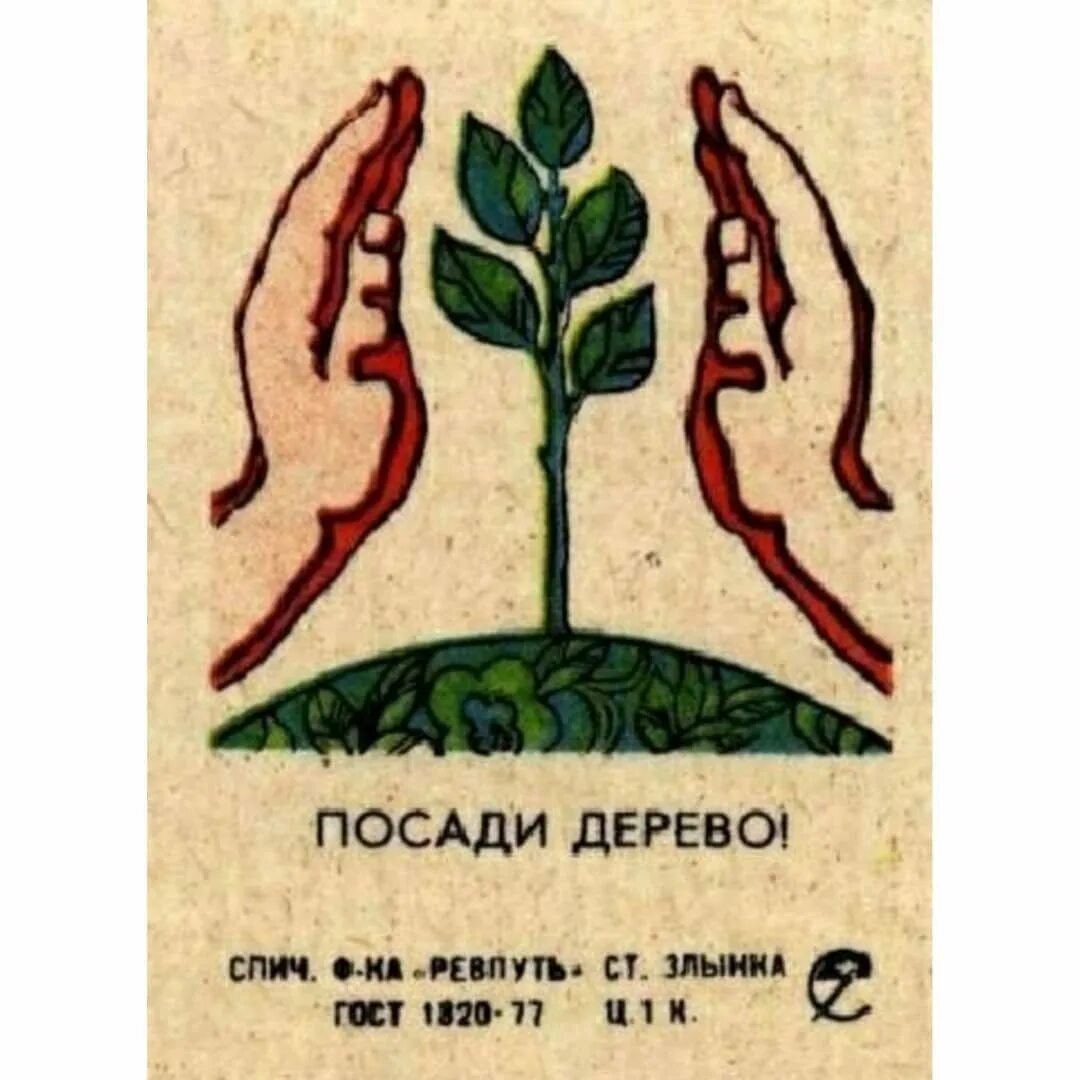Плакаты берегите растения 3 класс окружающий мир. Плакат берегите растения. плакат береги растения. рисунок на тему защита растений. береги растения рисунки.